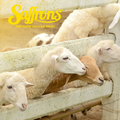 Qurban Singapore 2026: The Complete Religious Guide, Local Challenges & Trusted Saffrons Services